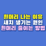 흰머리 나는 이유