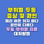 두통 부위별