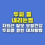 두피열