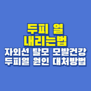 두피열