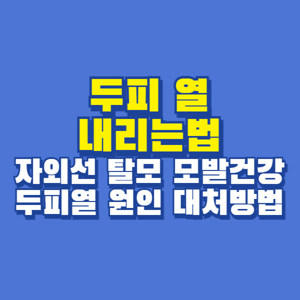 두피열