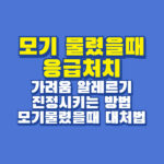 모기 물렸을때