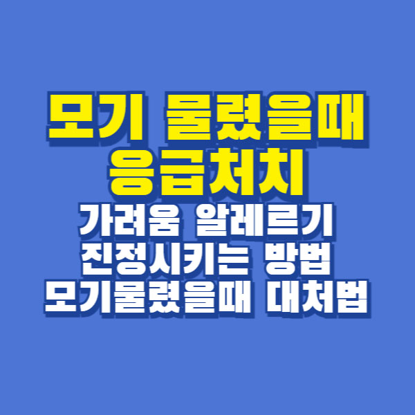 모기 물렸을때