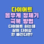 몸무게 정체기