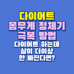 몸무게 정체기
