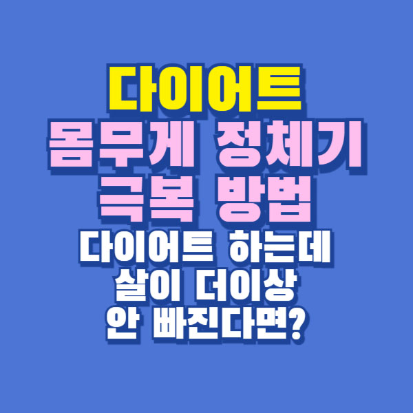 몸무게 정체기