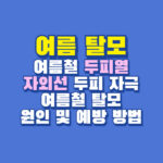 여름 탈모