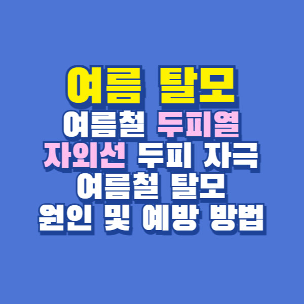 여름 탈모