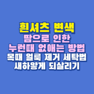 흰티셔츠 누런때