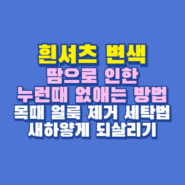 흰티셔츠 누런때