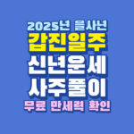 2025년 갑진일주 신년 운세 사주