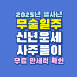 2025년 무술일주 신년 운세 사주
