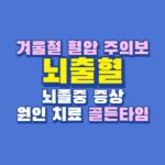 뇌출혈