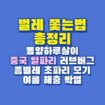 벌레 쫒는법
