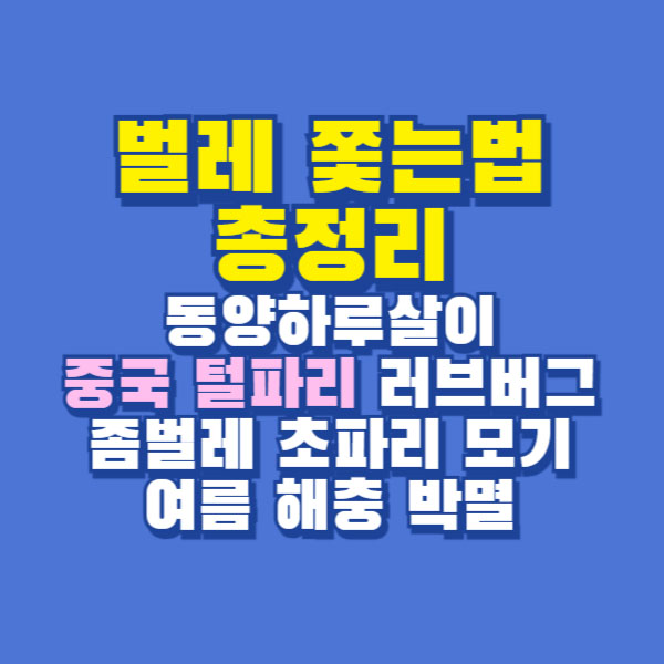 벌레 쫒는법