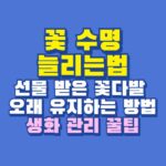 꽃 수명 늘리는법
