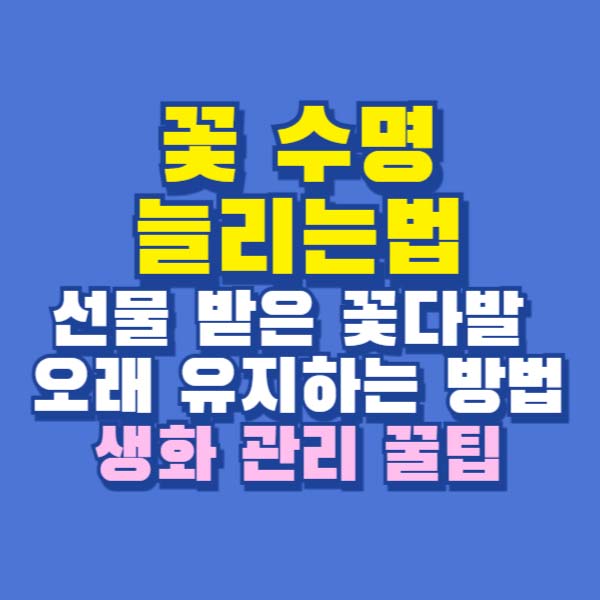꽃 수명 늘리는법