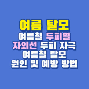 여름 탈모