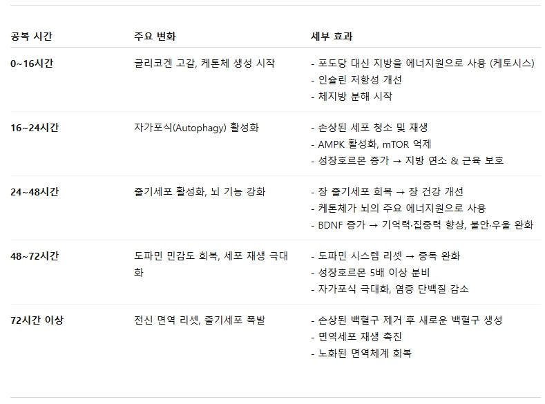 간헐적단식 시간대 별 신체변화 요약
