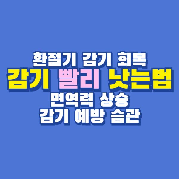 감기 빨리 낫는법