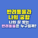 반려동물 궁합