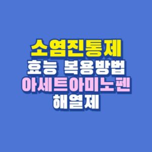 소염진통제
