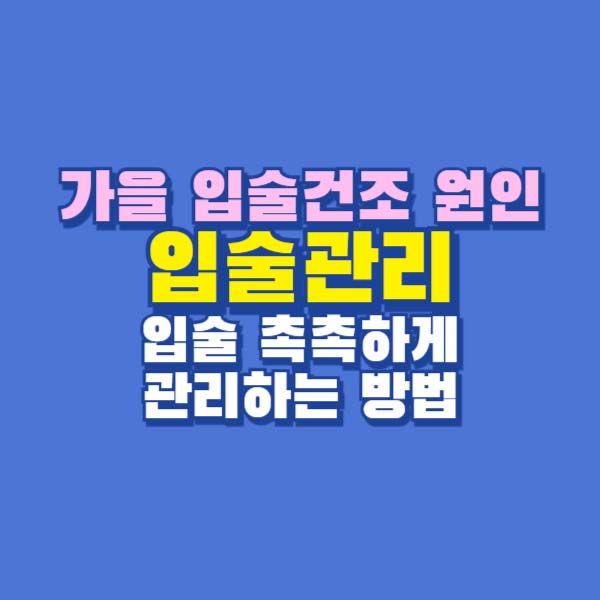 입술 관리