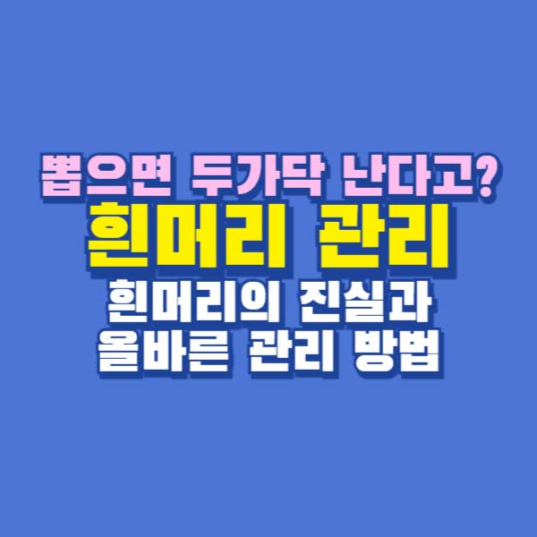 흰머리 관리
