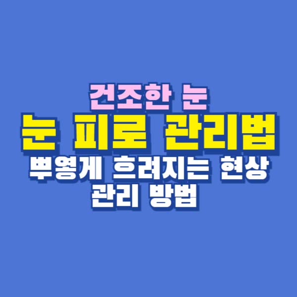 눈 피로