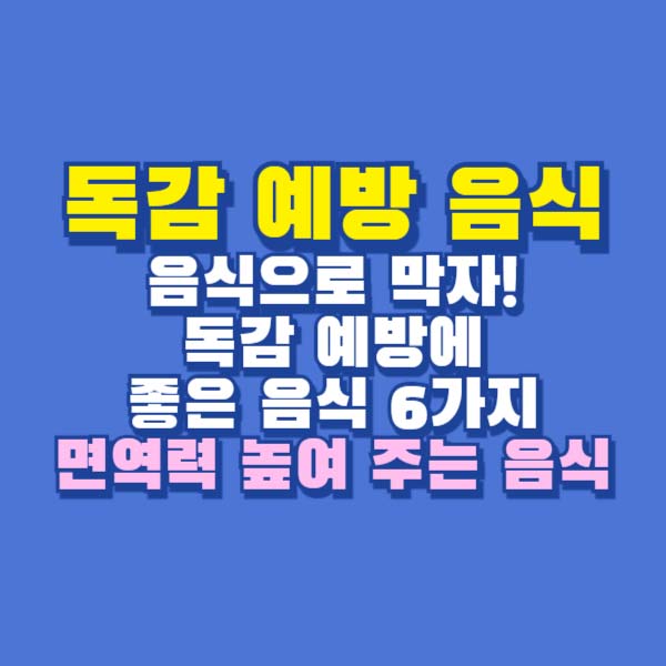 독감 예방 음식