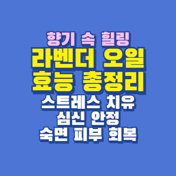 라벤더 오일