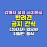 반려견 금지 간식