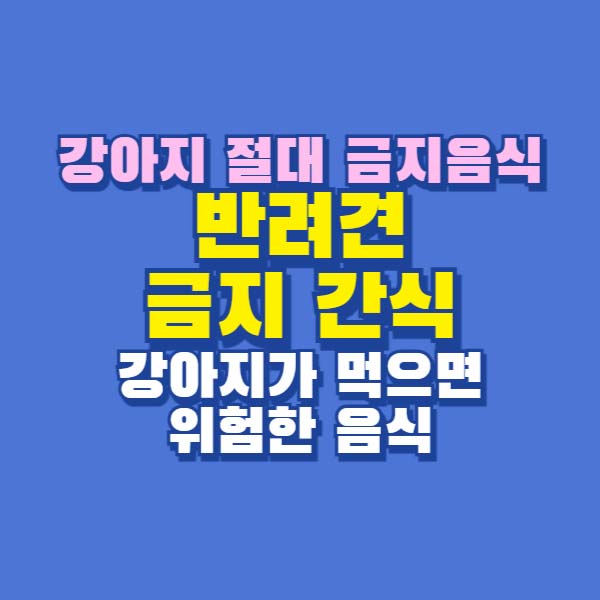 반려견 금지 간식