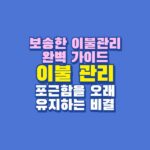 이불 관리