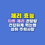 체리 효능