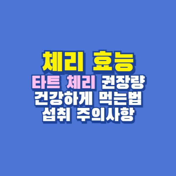 체리 효능