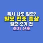 탈모 전조 증상