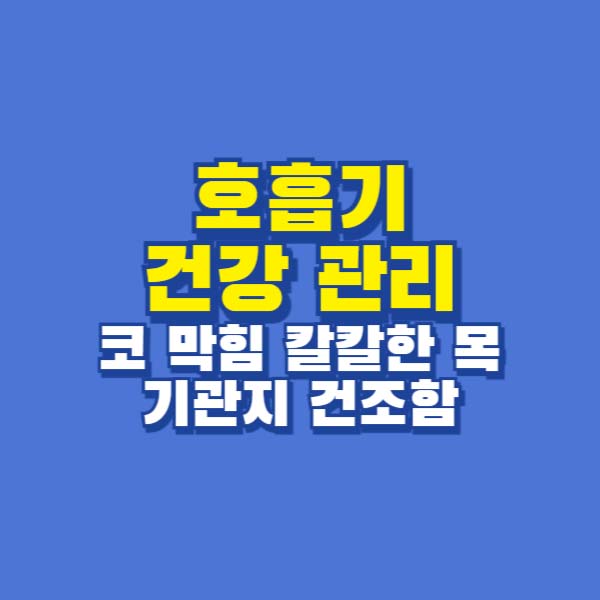 호흡기 건강 관리