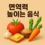 면역력 높이는 음식