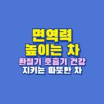 면역력 높이는 차