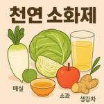 천연 소화제