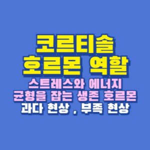 코르티솔