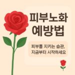 피부노화 예방법