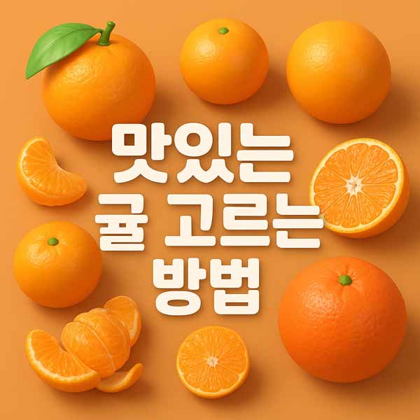 맛있는 귤 고르는 방법