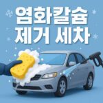 염화칼슘 제거 세차