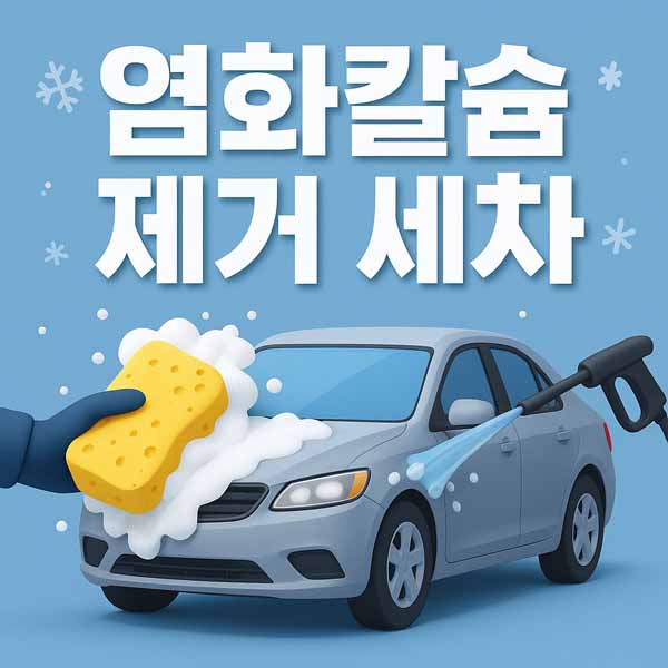 염화칼슘 제거 세차