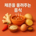 체온을 올려주는 음식