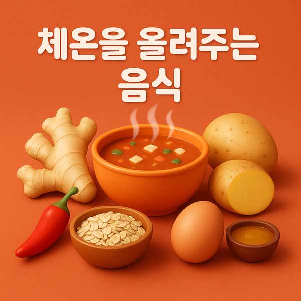 체온을 올려주는 음식