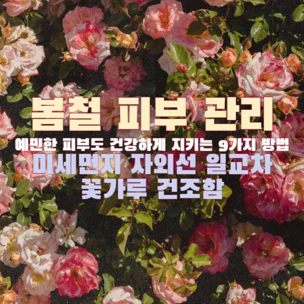 봄철 피부 관리