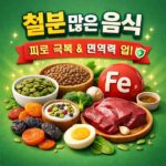 철분 많은 음식